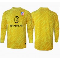 Atletico Madrid Målvakt Tredjeställ 2024-25 Långärmad